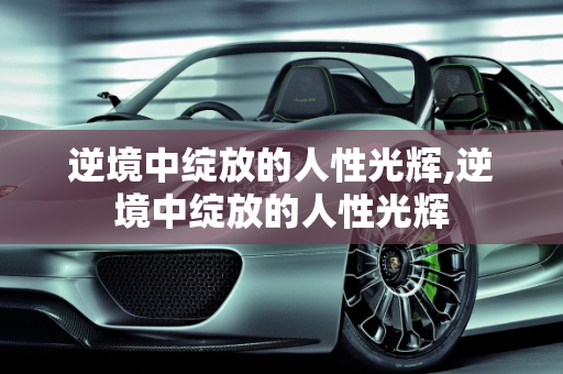 逆境中绽放的人性光辉,逆境中绽放的人性光辉