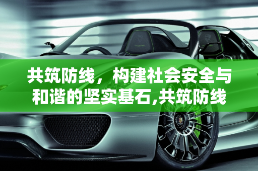 共筑防线，构建社会安全与和谐的坚实基石,共筑防线