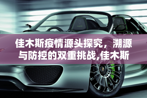佳木斯疫情源头探究，溯源与防控的双重挑战,佳木斯疫情源头