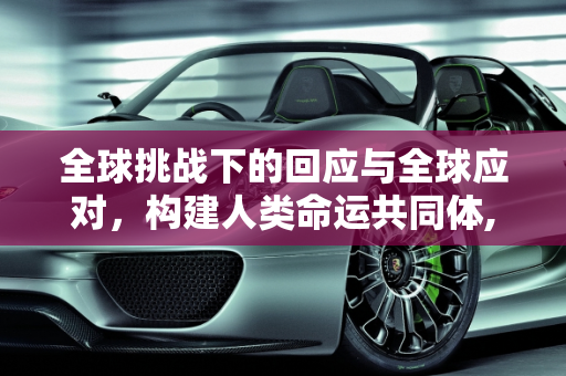 全球挑战下的回应与全球应对，构建人类命运共同体,回应与全球应对