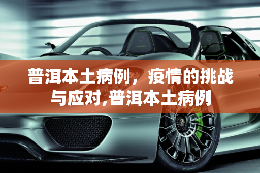 普洱本土病例，疫情的挑战与应对,普洱本土病例