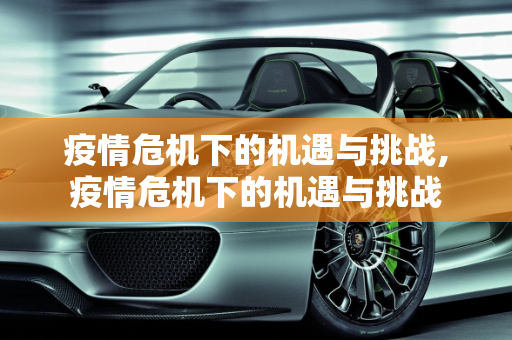 疫情危机下的机遇与挑战,疫情危机下的机遇与挑战