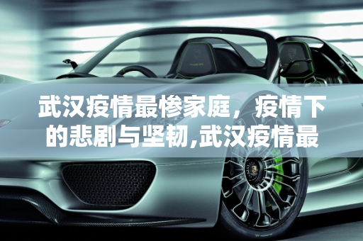 武汉疫情最惨家庭，疫情下的悲剧与坚韧,武汉疫情最惨家庭