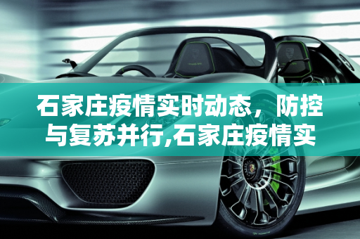 石家庄疫情实时动态，防控与复苏并行,石家庄疫情实时动态