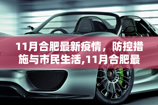 11月合肥最新疫情，防控措施与市民生活,11月合肥最新疫情
