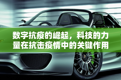 数字抗疫的崛起，科技的力量在抗击疫情中的关键作用,数字抗疫的崛起